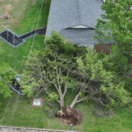 Commercial Roofing | Southwest Missouri | Teague Roofing Plus 21 13 1