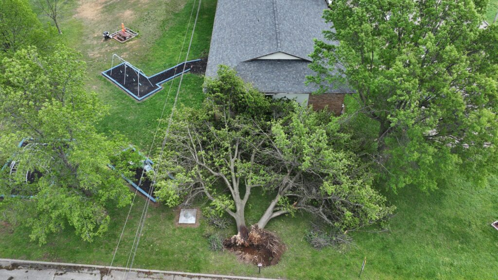 DJI 20250501124224 0177 D