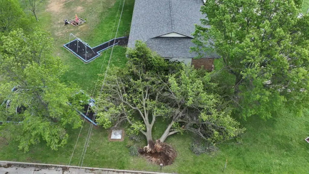 Aerial view of a shingle roof surrounded by mature trees