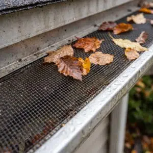 Home | Teague Roofing Plus 100 Gutter guards installed over a roof gutter with leaves collecting on top