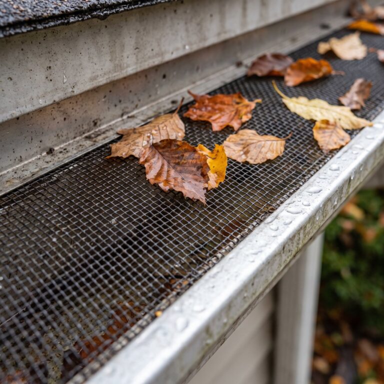 Gutter guards installed over a roof gutter with leaves collecting on top
