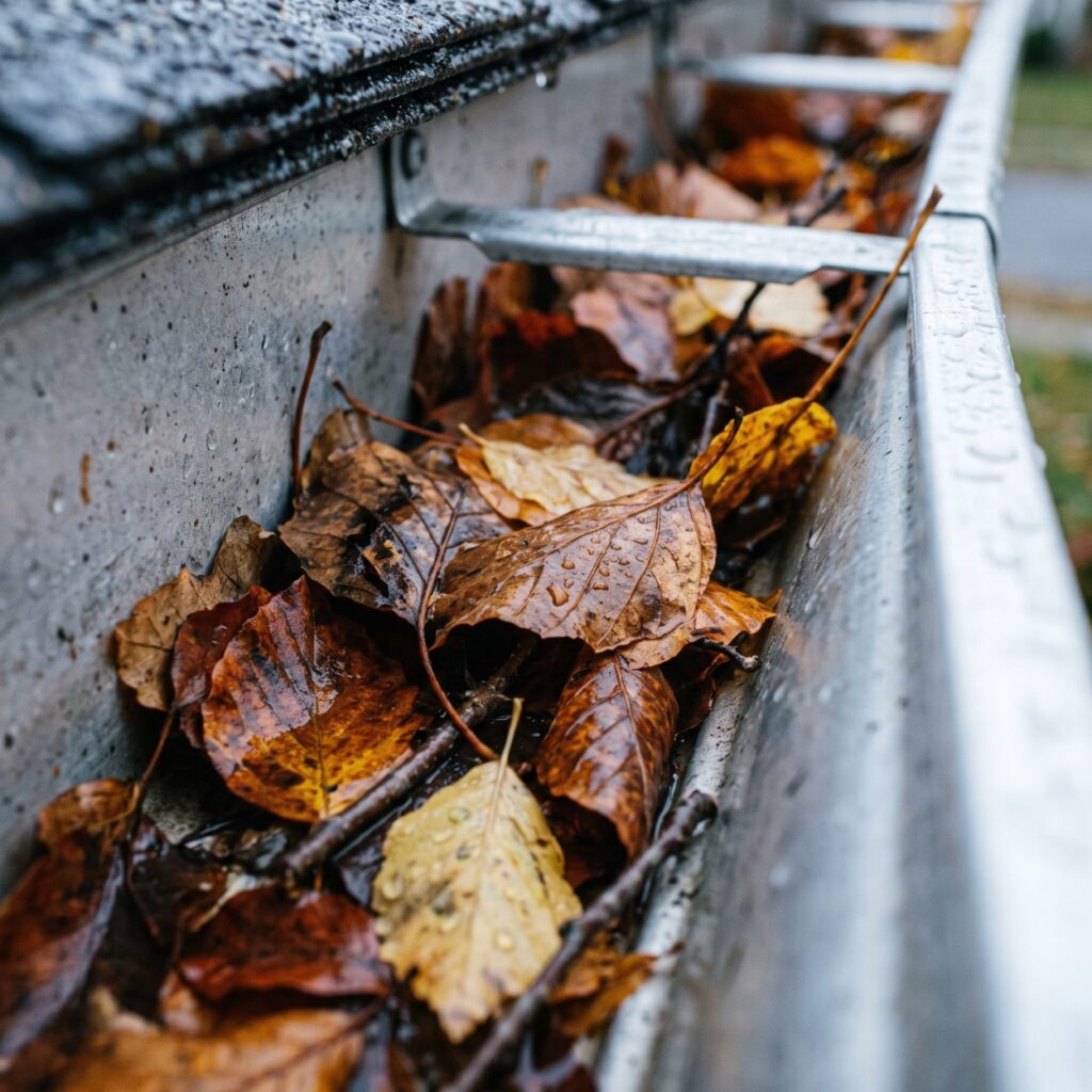 Gutter cleaning before winter with leaves and debris cleared from a roof gutter