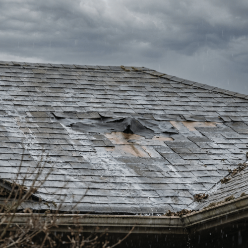 Emergency Roof Repair in Springfield, MO: What To Do When Your Roof Starts Leaking